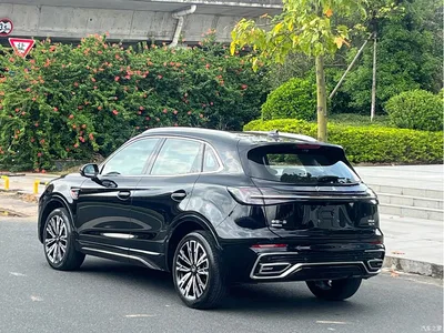 2023 Hongqi HS5 2.0T AWD Flag Enjoy Pro Edition, фото 4, лот 11535389