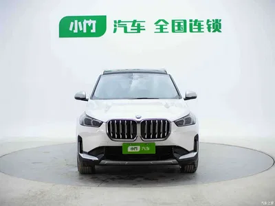 2023 BMW X1 sDrive20Li X Design Package, фото 2, лот 11582939