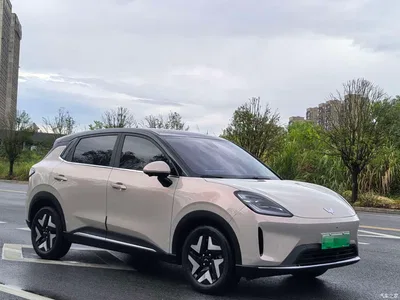 2025 Wuling Motors Wuling Bingo S Model 325km Flagship Edition, фото 3, лот 10836401