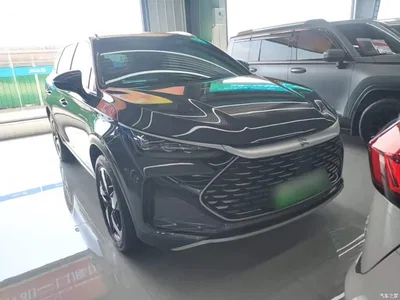 2024 BYD Tang New Energy DM-i Honor Edition 112KM Premium, фото 3, лот 10272485