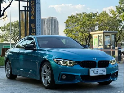 2019 BMW 4 Series 425i M Sport Shadow Edition, фото 3, лот 11549306
