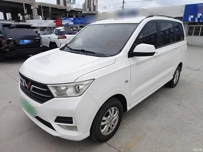2019 Wuling Motors Wuling Hongguang 1.5L S Comfort China VI LAR, фото 1, лот 10372146