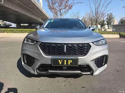 2017 WEY VV7 2.0T Super Luxury, фото 3, лот 10451645
