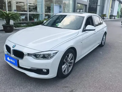 2017 BMW 3 Series 320Li Fashion, фото 1, лот 11134085