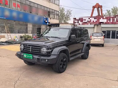 2021 Tank 300 Off-road Version 2.0T Conqueror, фото 2, лот 11438887