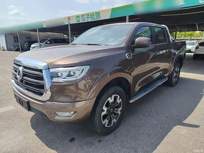 2019 Great Wall Pao 2.0T Automatic Gasoline 2WD Comfort GW4C20B, фото 2, лот 10248926