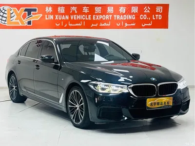 2020 BMW 5 Series 530Li Exclusive M Sport Package, фото 3, лот 11516946