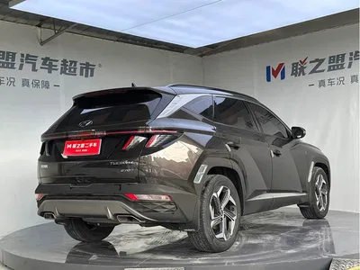 2021 Hyundai Tucson L 1.5T DCT LUX Premium, фото 4, лот 10371313