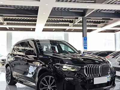 2022 BMW X5 (Import) xDrive30i M Sport Package, фото 3, лот 10464387