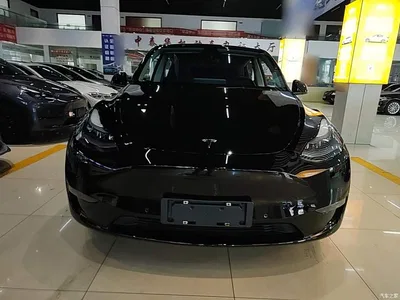 2021 Tesla Model Y Standard Range Rear-Wheel Drive, фото 3, лот 10369888