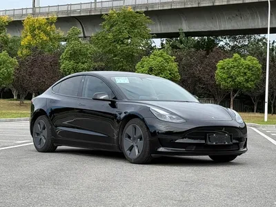 2021 Tesla Model 3 Standard Range Rear-Wheel Drive Upgrade 3D6, фото 3, лот 10399533