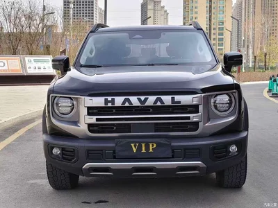 2024 Haval Big Dog 2.0T DCT Chinese Rural Dog Edition, фото 2, лот 10361749