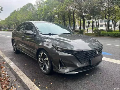 2023 Changan Ruicheng PLUS 1.5T DCT Luxury, фото 3, лот 10273683