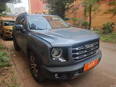 2021 Haval Big Dog 1.5T DCT 2WD Border Collie - Wangcai Edition, фото 3, лот 11585746