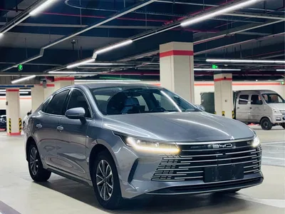 2024 BYD Destroyer 05 Glory Edition DM-i 55KM Luxury, фото 3, лот 11247283