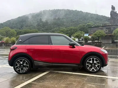 2022 smart Elf #1 Pure+ Edition, фото 4, лот 11548046