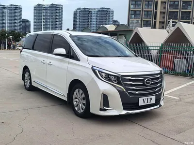 2020 GAC Trumpchi Trumpchi M8 Pilot 390T Premium Edition, фото 3, лот 10888995