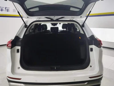 2021 Haval H6 Model National Trend Edition 1.5T Auto Champion, фото 4, лот 10297370