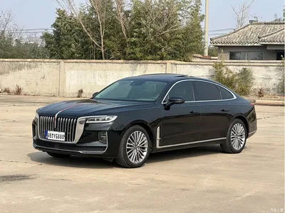 2020 Hongqi H9 2.0T Smart Connection Qi Chang Edition, фото 1, лот 10289072