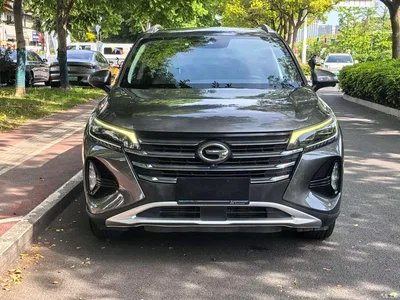 2020 GAC Trumpchi Trumpchi GS4 Model 270T Automatic Premium Edition, фото 2, лот 10416539