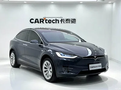 2019 Tesla Model X Long Range Version, фото 3, лот 10351697