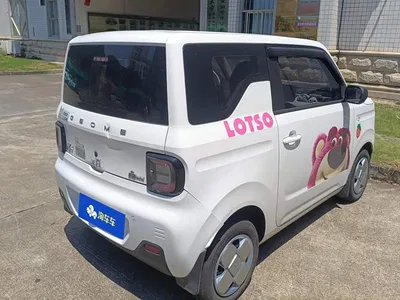 2024 Geely Galaxy Panda mini 200km Endurance Bear, фото 3, лот 10405496