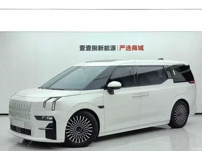 2022 ZEEKR 009 WE Edition, фото 1, лот 10804128