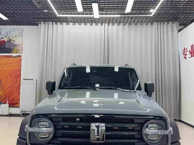 2021 Tank 300 Off-road Version 2.0T Conqueror, фото 2, лот 10345188