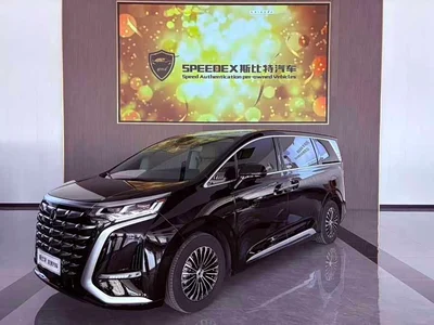 2024 Denza D9 DM-i 980 AWD Premium, фото 1, лот 10025767