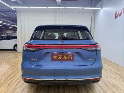 2025 Shangjie SUV Extended Range Edition, фото 4, лот 11646345