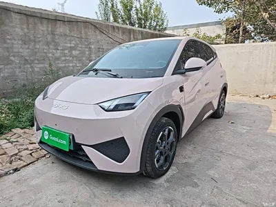 2025 BYD Seagull Smart Drive Edition 305km Freedom Version, фото 1, лот 10804009