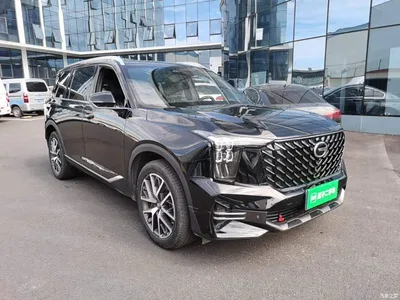 2022 GAC Trumpchi Trumpchi GS8 Pilot Series 2.0TGDI 2WD Luxury Smart Connect Edition (7-Seater), фото 4, лот 11301729