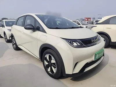 2025 BYD Dolphin 420km Freedom Edition, фото 4, лот 10264240