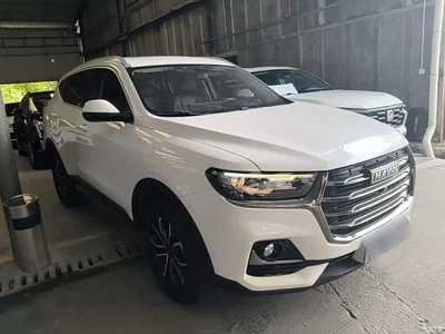 2021 Haval H6 National Trend Edition 1.5T Automatic Urban Edition, фото 4, лот 10302656
