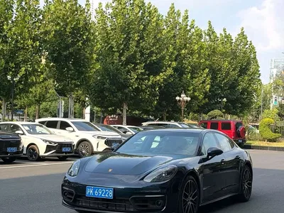2021 Porsche Panamera Model Panamera 2.9T, фото 1, лот 10621276