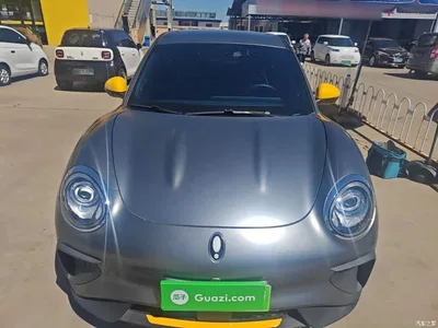 2023 Ora Good Cat GT Mulan Edition 401km Honor Model, фото 3, лот 10836505