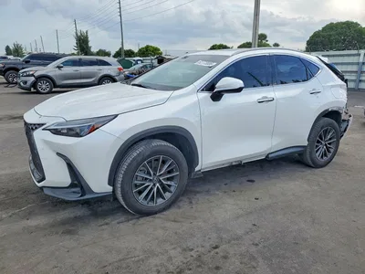 2023 LEXUS NX 250, фото 1, лот 10844285