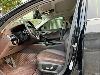 2021 BMW 5 Series 525Li Luxury Package, фото 4, лот 11174680