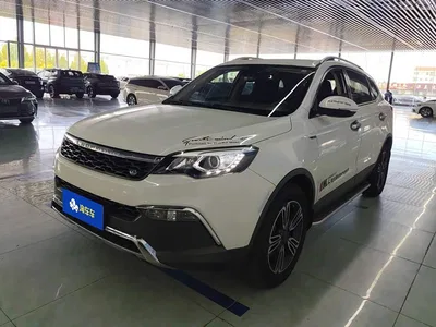 2017 Leopaard CS10 Model 2.0T Automatic Luxury Edition, фото 1, лот 11642475