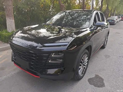 2024 Jetour Dasheng 1.5T DCT Soaring Dragon Edition PRO, фото 2, лот 10828134