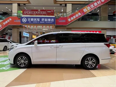 2017 Buick GL8 ES 28T Luxury China V, фото 4, лот 10399510