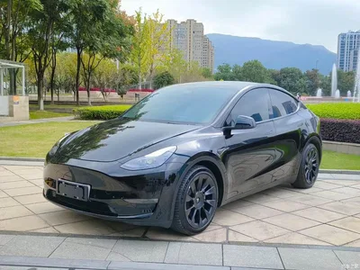 2022 Tesla Model Y Facelift Rear-Wheel Drive Version, фото 1, лот 10455218