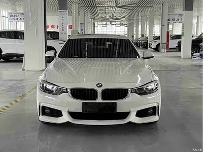 2017 BMW 4 Series 425i Gran Coupe Leading M Sport Package, фото 4, лот 10468548
