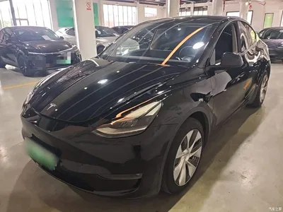 2021 Tesla Model Y Model Long Range AWD, фото 2, лот 11220186
