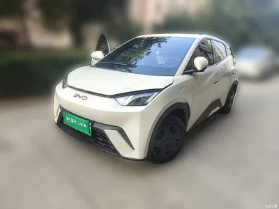 2024 BYD Seagull Glory Edition 305km Vitality Edition, фото 1, лот 11023397