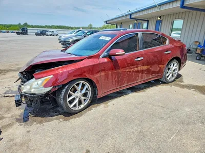 2009 NISSAN MAXIMA S/SV, фото 1, лот 10737375