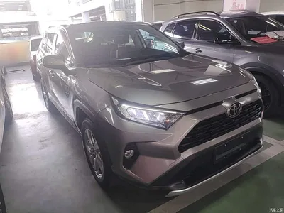 2020 Toyota RAV4 Rongfang 2.0L CVT 2WD Trend Edition, фото 4, лот 10323353