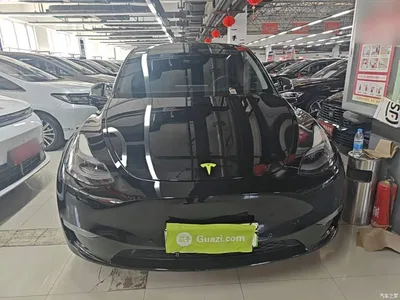 2023 Tesla Model Y Long Range All-Wheel Drive Edition, фото 3, лот 10816576