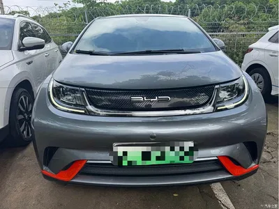 2021 BYD Dolphin Model 405km Fashion Edition, фото 2, лот 11197585