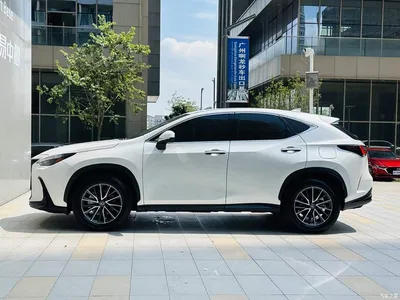 2024 Lexus NX 350h FWD Innovation Edition, фото 4, лот 10394485